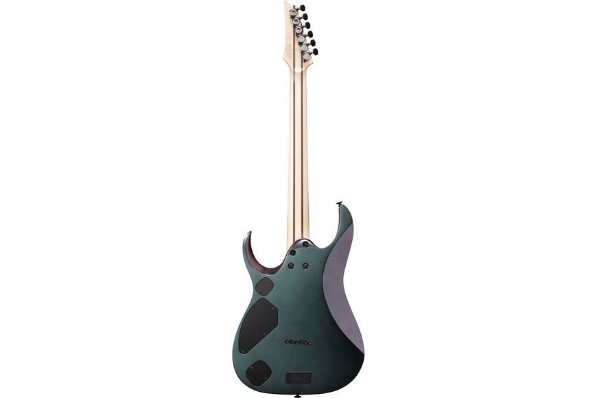 Электрогитара Ibanez RGD3121-PRF 719297602400 фото