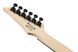 Електрогітара Ibanez GRG120QASP-BGD 719297602358 фото 7