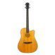 Акустическая гитара Toneberg TQ-M Natural 719297602605 фото 1