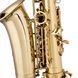Саксофон Stagg WS-AS215S 719297602743 фото 3