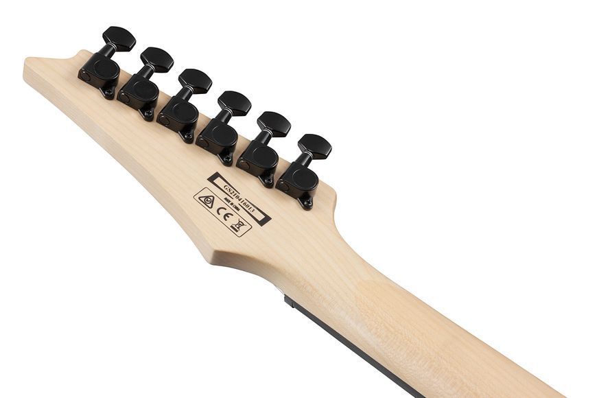Електрогітара Ibanez GRG120QASP-BGD 719297602358 фото