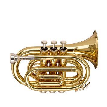 Духовая труба Stagg WS-TR245S 719297602744 фото