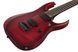 Электрогитара Ibanez RGD721FA-WUF 719297602423 фото 4