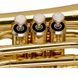 Духовая труба Stagg WS-TR245S 719297602744 фото 2