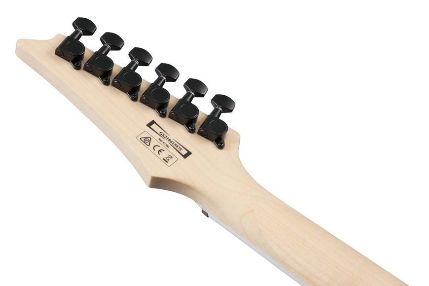 Електрогітара Ibanez GRG121DX-BKF 719297602360 фото