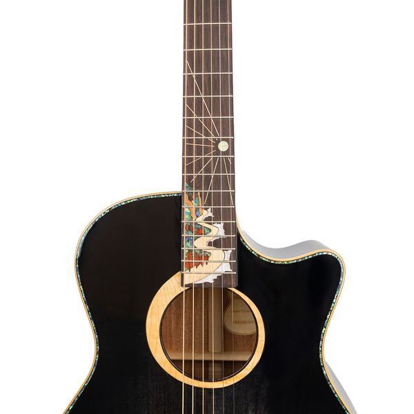 Акустическая гитара Toneberg TQ-ALS BK 719297602610 фото