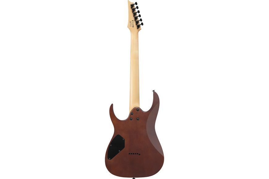Электрогитара Ibanez GRG121DX-WNF 719297602361 фото