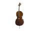 Віолончель STENTOR +1102 / F STUDENT I CELLO OUTFIT 1/4 719297603004 фото 1