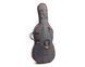 Виолончель STENTOR 1108/C STUDENT II CELLO OUTFIT 3/4 719297603005 фото 3