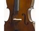 Виолончель STENTOR 1108/C STUDENT II CELLO OUTFIT 3/4 719297603005 фото 2