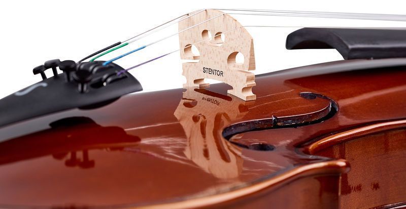 Скрипка STENTOR 1400/A STUDENT I VIOLIN OUTFIT 4/4 719297600439 фото