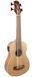 FZONE FZUB-003 Bass Ukulele 719297601093 фото 1