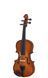 Скрипка STENTOR 1400/J STUDENT I VIOLIN OUTFIT 1/32 719297600443 фото 1