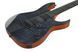 Електрогітара Ibanez GRGR221FA-TDK 719297602370 фото 4