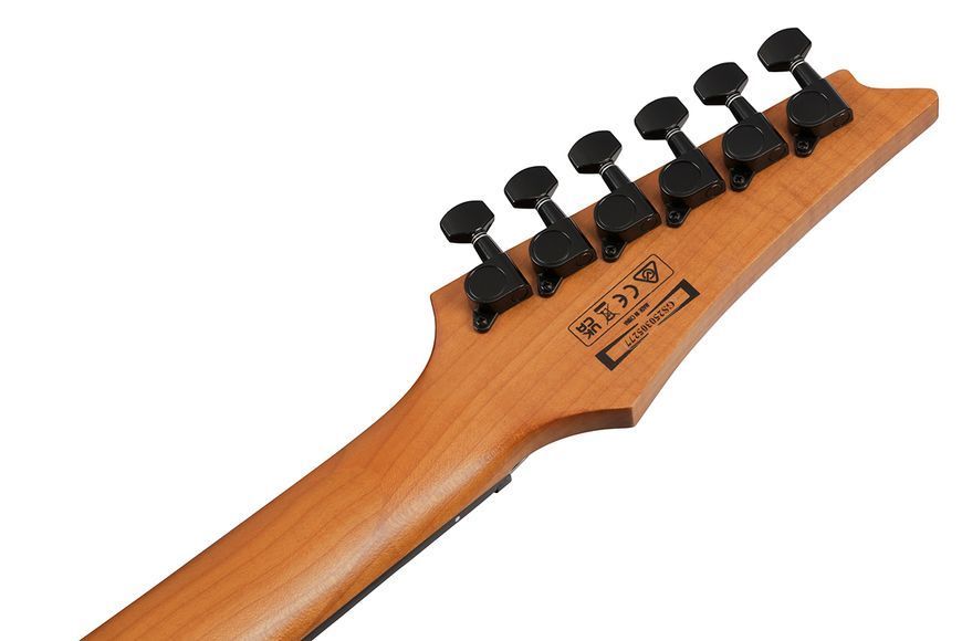 Електрогітара Ibanez GRGR221FA-TDK 719297602370 фото