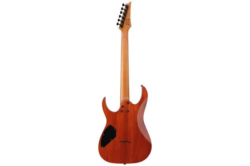Електрогітара Ibanez GRGR221FA-TDK 719297602370 фото