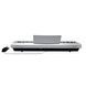 Цифровое пианино Toneberg TK-20 WH 719297602629 фото 3