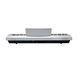 Цифровое пианино Toneberg TK-40 WH 719297602630 фото 3