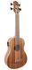 FZONE FZUB-004 Bass Ukulele 719297601094 фото 1
