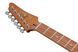 Электрогитара Ibanez AZ24S1F-TKS 719297602351 фото 6