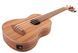 FZONE FZUB-004 Bass Ukulele 719297601094 фото 2