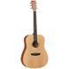 Акустическая гитара Tanglewood TR5 719297602572 фото 1