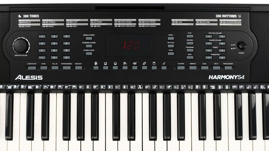 Синтезатор ALESIS HARMONY 54 719297600076 фото