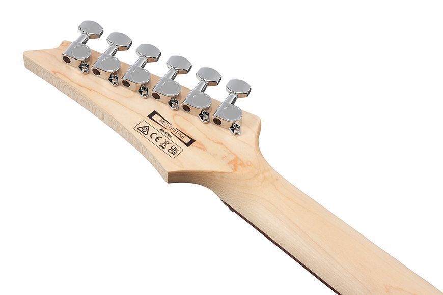 Электрогитара Ibanez GRX70QA-SB 719297602380 фото