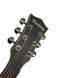 Акустична гітара Toneberg TQ-DC-FGS GR 719297602594 фото 3