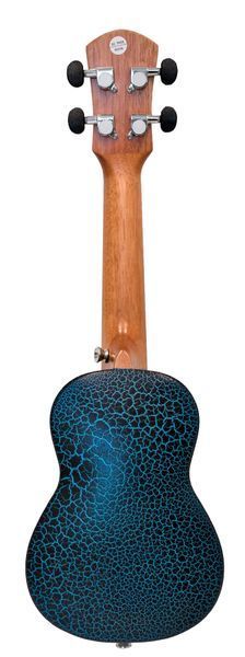 PARKSONS UK21YS (Blue) 719297601133 фото
