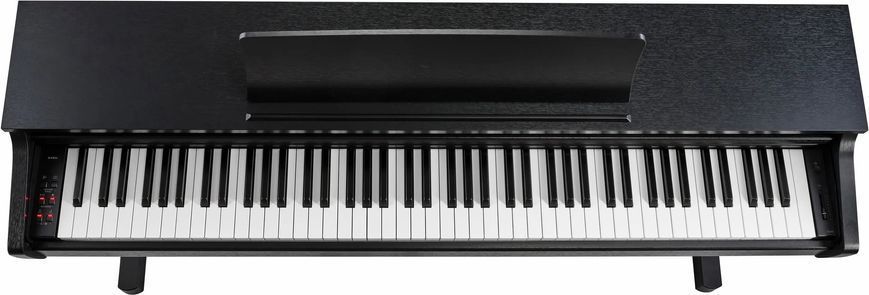 Цифровое пианино Kawai CX202B 719297602502 фото