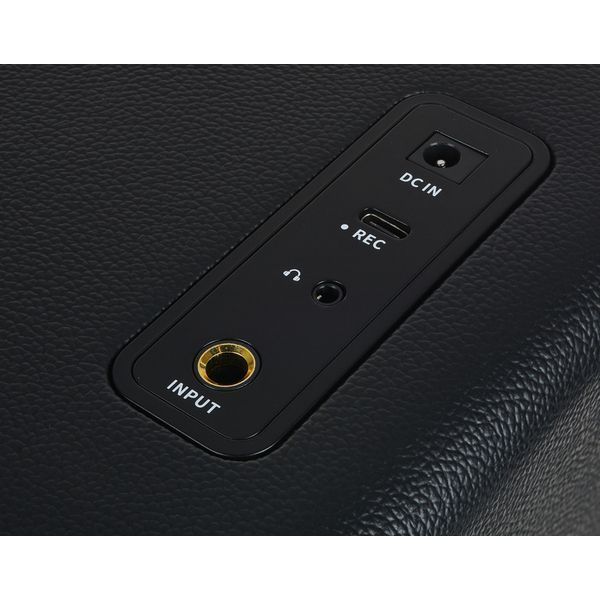 Комбопідсилювач MOOER Hornet 15i (Black) 719297601342 фото