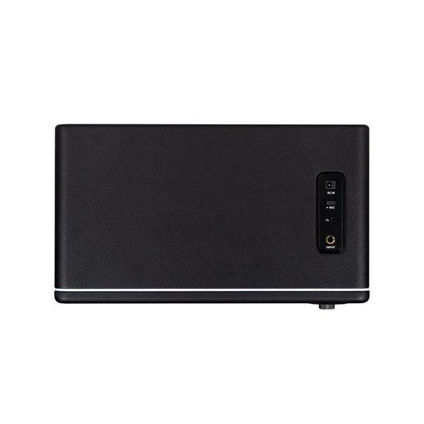 Комбопідсилювач MOOER Hornet 30i (Black) 719297601345 фото