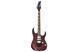 Электрогитара Ibanez RG470DXW-WZM 719297602391 фото 1