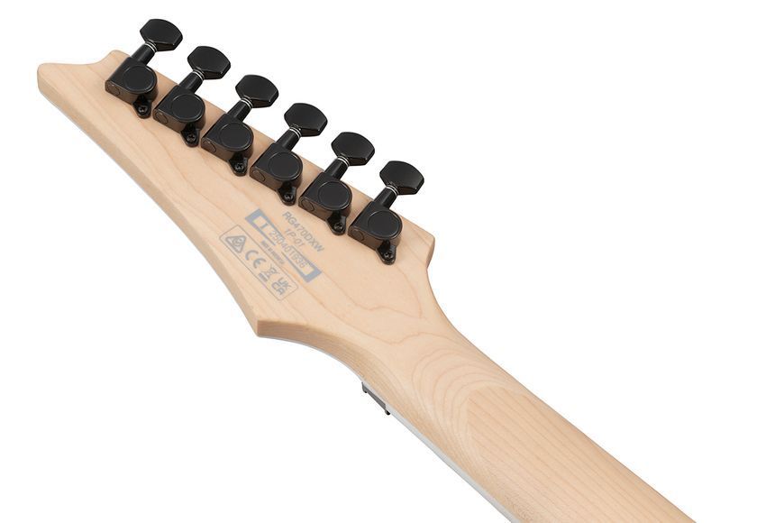 Электрогитара Ibanez RG470DXW-WZM 719297602391 фото