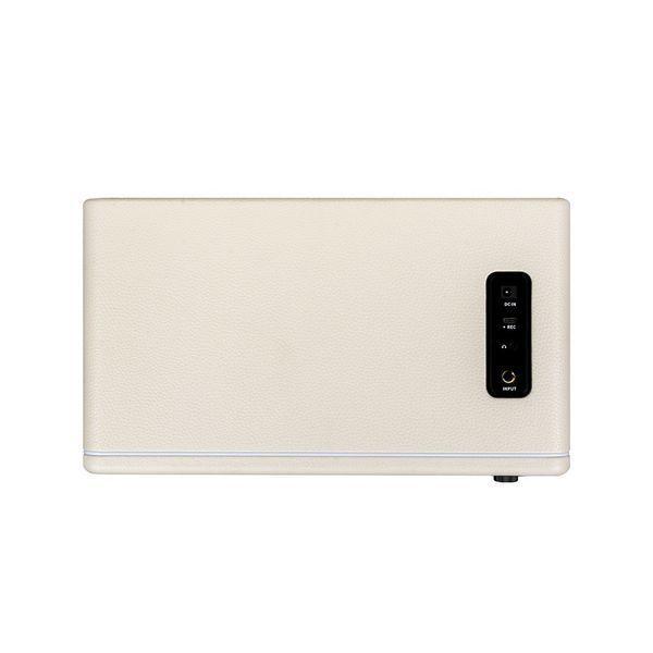Комбоусилитель MOOER Hornet 30i (White) 719297601346 фото