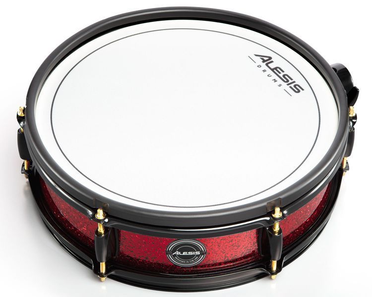 Електронна ударна установка ALESIS Strike Pro Special Edition Kit 719297600401 фото