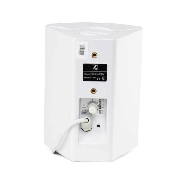 Настінна акустика 4all Audio WS 530IP TW 719297602872 фото