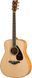 Акустична гітара YAMAHA FG840 (Natural) 719297600201 фото 1