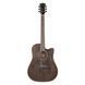 Акустична гітара Toneberg T360-M 719297602602 фото 1