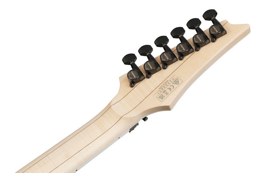 Электрогитара Ibanez RG565R DY 719297602395 фото