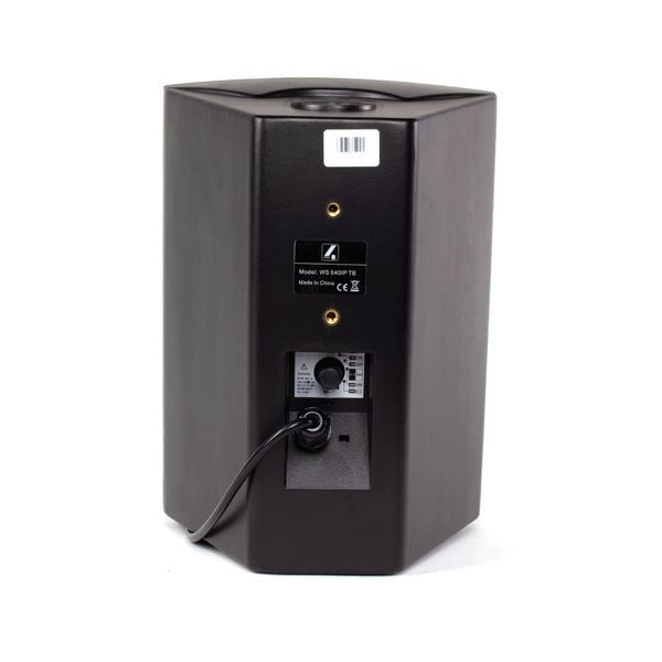Настінна акустика 4all Audio WS 640IP TB 719297602875 фото