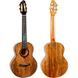 Укулеле Flight A10 MM Mango Dragon 10th Anniversary tenor 719297602713 фото 1