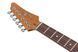 Электрогитара Ibanez AZ2204N VGF 719297602347 фото 6