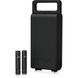 Студійний мікрофон Behringer C-2 DARK EDITION 719297602768 фото 3