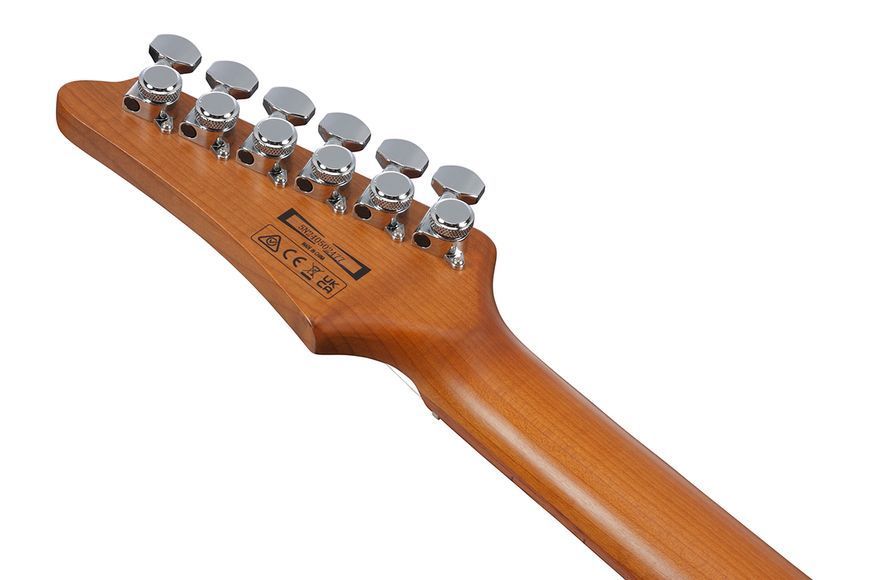 Электрогитара Ibanez AZ24S1F-VLS 719297602353 фото
