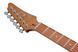 Электрогитара Ibanez AZ22S1F-TKS 719297602348 фото 6