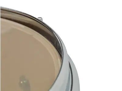 Акустична ударна установка YAMAHA TOUR CUSTOM SHELL PACK (Caramel Satin) 719297600425 фото