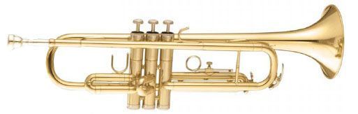 Труба MAXTONE TTC30L (TTC1C) 719297600481 фото