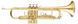 Труба MAXTONE TTC30L (TTC1C) 719297600481 фото 2